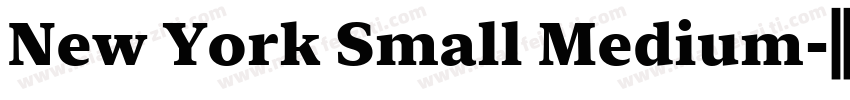 New York Small Medium字体转换